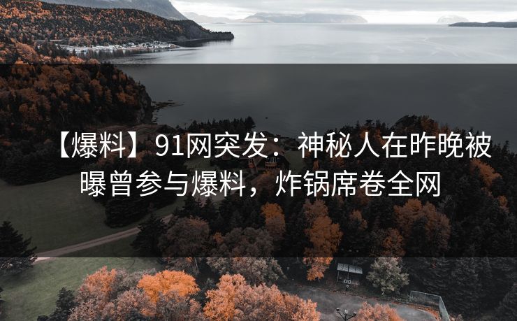 【爆料】91网突发：神秘人在昨晚被曝曾参与爆料，炸锅席卷全网