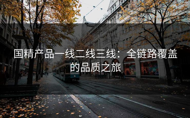 国精产品一线二线三线：全链路覆盖的品质之旅