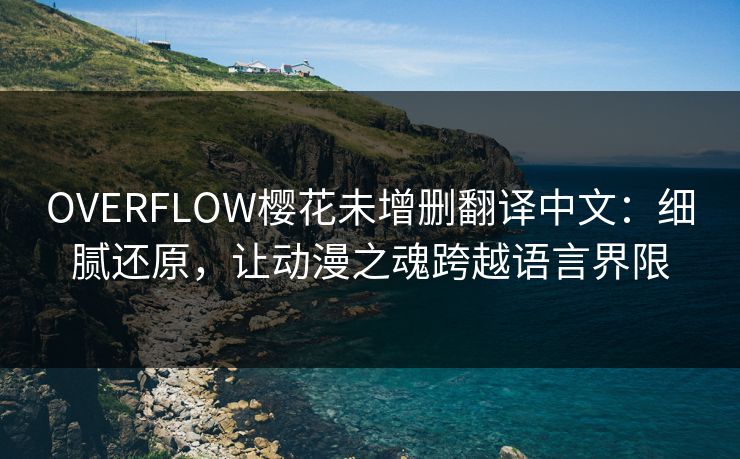 OVERFLOW樱花未增删翻译中文：细腻还原，让动漫之魂跨越语言界限