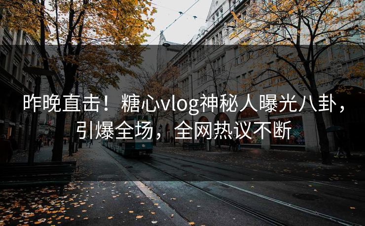 昨晚直击！糖心vlog神秘人曝光八卦，引爆全场，全网热议不断